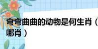 彎彎曲曲的動物是何生肖(彎彎曲曲的動物是哪肖)
