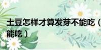 土豆怎樣才算發芽不能吃(土豆怎樣算發芽不能吃)