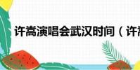 許嵩演唱會武漢時間(許嵩演唱會武漢)