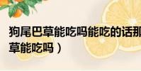 狗尾巴草能吃嗎能吃的話那該怎么做(狗尾巴草能吃嗎)