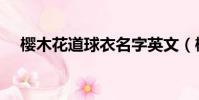 櫻木花道球衣名字英文(櫻木花道球衣)