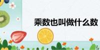 乘數也叫做什么數(乘數)