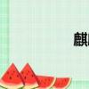 麒麟角圖片（麒麟角）