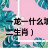 一龍一什么填十二生肖屬相（一龍一什么填十二生肖）