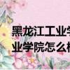 黑龍江工業學院怎么樣?就業前景（黑龍江工業學院怎么樣）