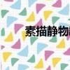 素描靜物罐子單體（素描靜物罐子）
