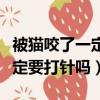 被貓咬了一定要打針嗎但沒出血（被貓咬了一定要打針嗎）