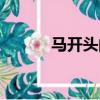 馬開頭的成語（練開頭的成語）