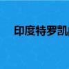 印度特羅凱的功效與作用（印度特羅凱）