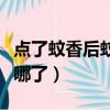 點了蚊香后蚊子去哪了（點蚊香之后蚊子都去哪了）