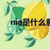 nia是什么意思中文（ninja是什么意思）