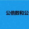 公倍數和公因數是什么（公因數是什么）