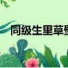同級生里草壁光給利人寫的歌（同級生3）