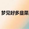 夢見好多韭菜是什么意思（韭菜是什么意思）