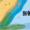 張馨怡的拼音（張馨怡）