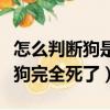 怎么判斷狗是否攜帶了狂犬病病毒（怎么判斷狗完全死了）