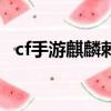cf手游麒麟刺多少錢一把（cf手游麒麟刺）