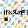 什么風吹四字成語有哪些（什么風勁吹四字成語）