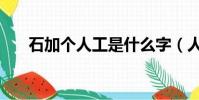 石加個人工是什么字(人工是什么字)