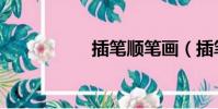 插筆順筆畫(插筆順)