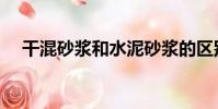 干混砂漿和水泥砂漿的區別(干混砂漿)