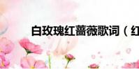 白玫瑰紅薔薇歌詞(紅薔薇歌詞)