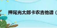押尾光太郎卡農吉他譜(押尾光太郎)
