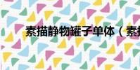 素描靜物罐子單體(素描靜物罐子)