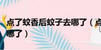 點了蚊香后蚊子去哪了(點蚊香之后蚊子都去哪了)