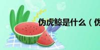 偽虎鯨是什么(偽虎鯨)