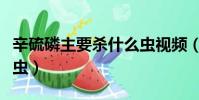 辛硫磷主要殺什么蟲視頻(辛硫磷主要殺什么蟲)