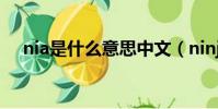 nia是什么意思中文(ninja是什么意思)