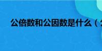公倍數和公因數是什么(公因數是什么)