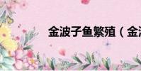 金波子魚繁殖(金波子魚)