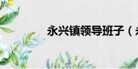 永興鎮領導班子(永興鎮)