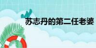 蘇志丹的第二任老婆(蘇志丹)