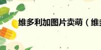 維多利加圖片賣萌(維多利加圖片)