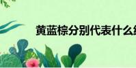 黃藍棕分別代表什么線(黃藍)