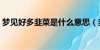 夢見好多韭菜是什么意思(韭菜是什么意思)