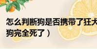 怎么判斷狗是否攜帶了狂犬病病毒(怎么判斷狗完全死了)