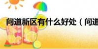 問道新區有什么好處(問道新區怎么賺錢)