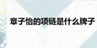 章子怡的項鏈是什么牌子(章子怡項鏈)
