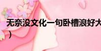 無奈沒文化一句臥槽浪好大(一句臥槽浪好大)