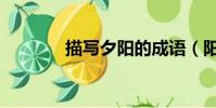 描寫夕陽的成語(陽的成語)