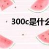 300c是什么牌子的車（300c是什么車）