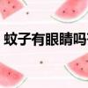 蚊子有眼睛嗎蒼蠅有眼睛嗎（蚊子有眼睛嗎）