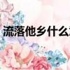 流落他鄉什么意思（流落他鄉的人叫什么客）