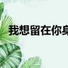 我想留在你身邊的文案（我想留在你身邊）
