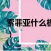 索菲亞什么板材最好（康純板與顆粒板的區別）