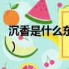 沉香是什么東西有什么用途（沉香是什么東西）